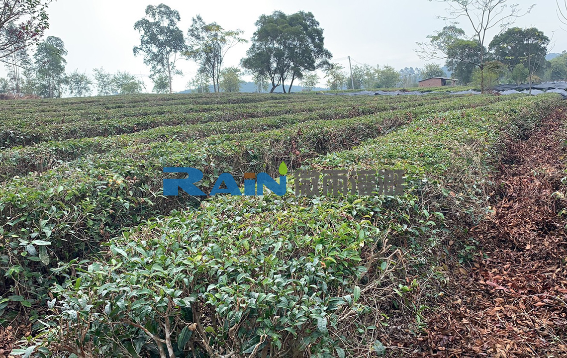 八百秀才茶葉基地水肥一體化灌溉系統(tǒng)